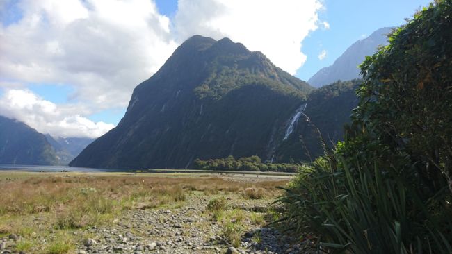 Milford Sound Foreshore Walk