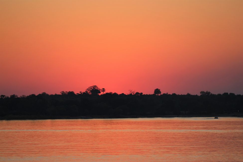 Jour 4 : Chutes Victoria / Zambie et croisière au coucher du soleil sur le Zambèze