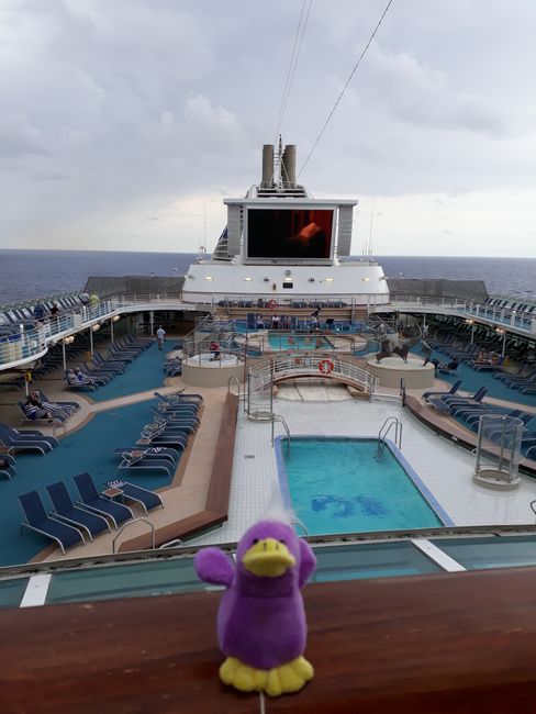On Cruise with the Sun Princess