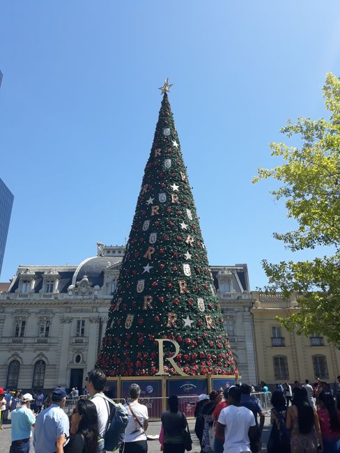 One of the many Christmas trees in Santiago