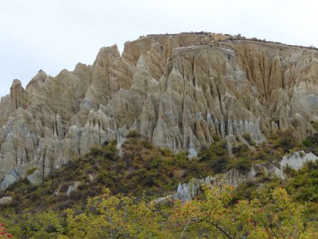 Clay Cliffs at Omarama