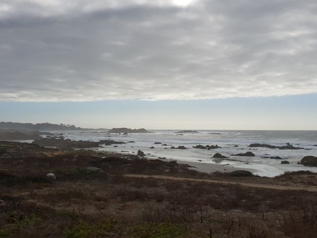 Monterey နှင့် 17-Mile-Drive တွင် ဝေလငါးကြည့်ရှုခြင်း။