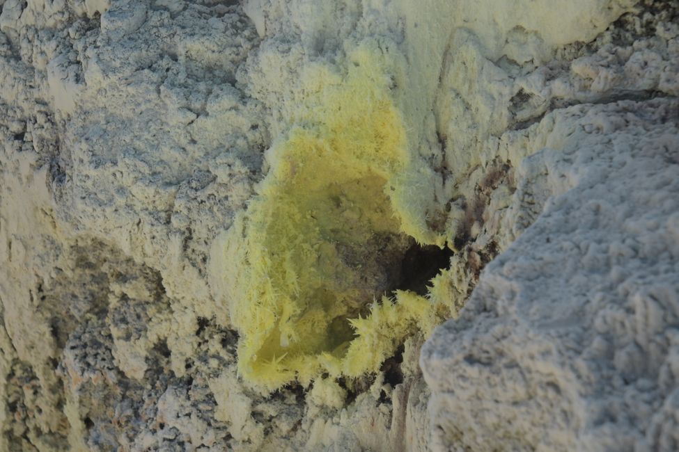 Hell's Gate Thermal Area - Sulfur crystals