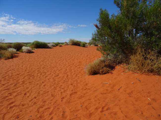 Die "rote Erde" im Outback