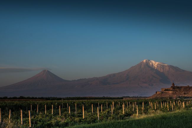 Das Kloster Khor Virap mit dem Berg Ararat im Hintergrund und Weinstöcken im Vordergrund.