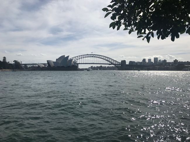 Sydney 😍☀️🇦🇺