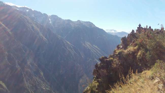 Baby-Alpaka streicheln im Colca Canyon