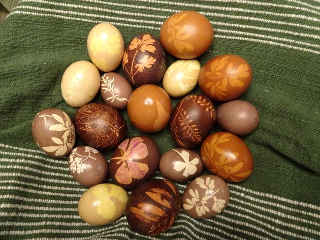 self-dyed Easter eggs
