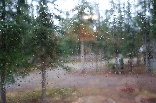 Rain in the morning