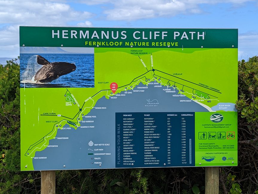 Hermanus / Cliff Path und die eigentliche "Walhauptstadt" Gansbaai