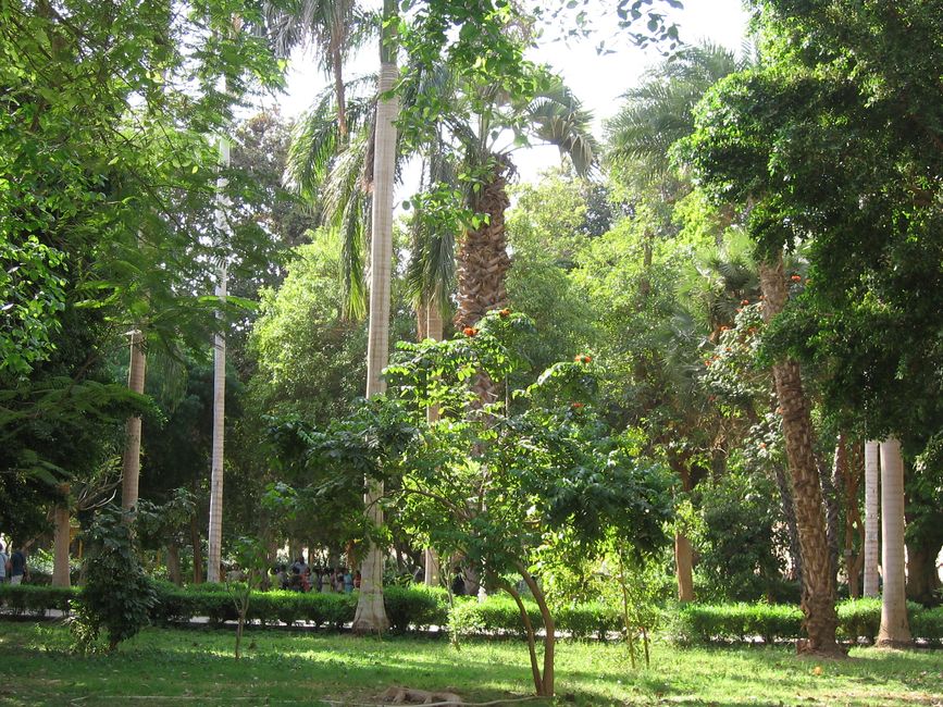 Nilkreuzfahrt Ägypten - Teil 6 botanischer Garten, Obelisk und zurück nach Luxor