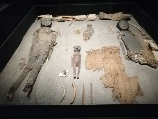 Mumien von Arica 