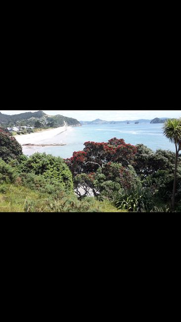 Hahei: Hot water beach and Cathedral Cove