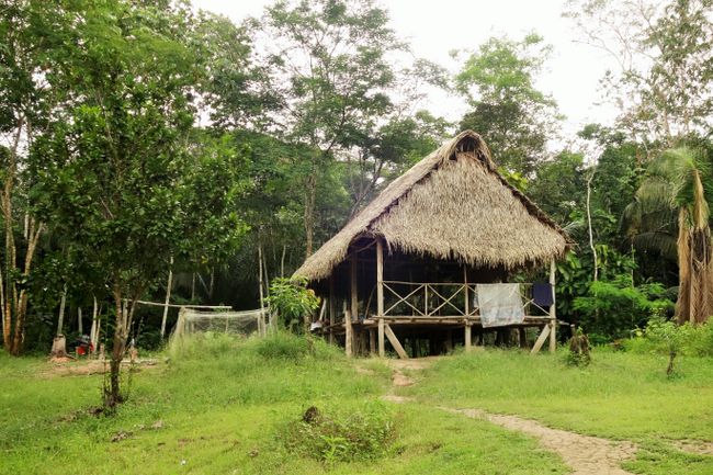 Peru - Pacaya-Samiria NP in the Amazon region