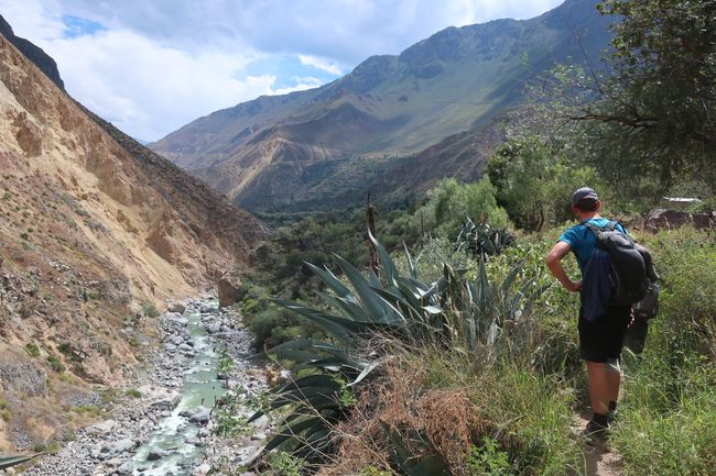 Colca Canyon - our journey into the deepest canyon in the world