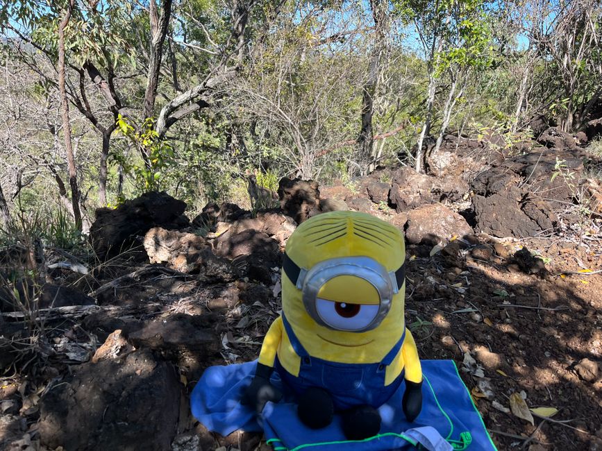 Stuart is watched by wallaby at Kalkani Krater rim walk