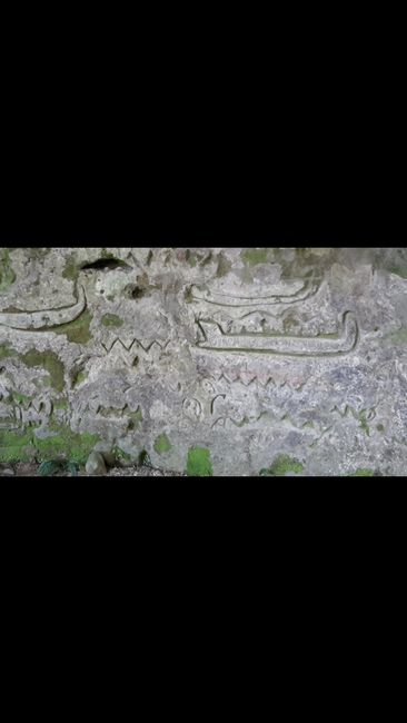 First Maori Carvings