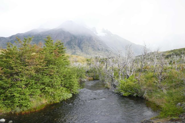 F: Puerto Natales und Torres del Paine