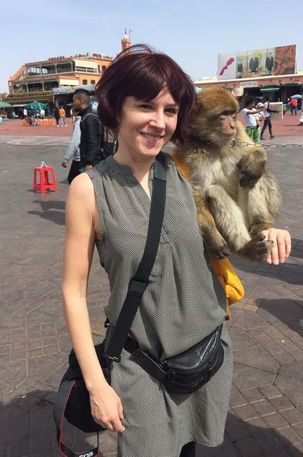 ... monkeys are quickly draped around your shoulders