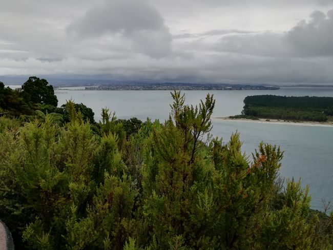 On top of Mt. Maunganui