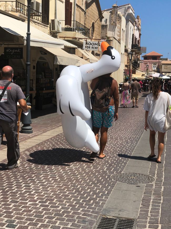A swan is walking through the city....!