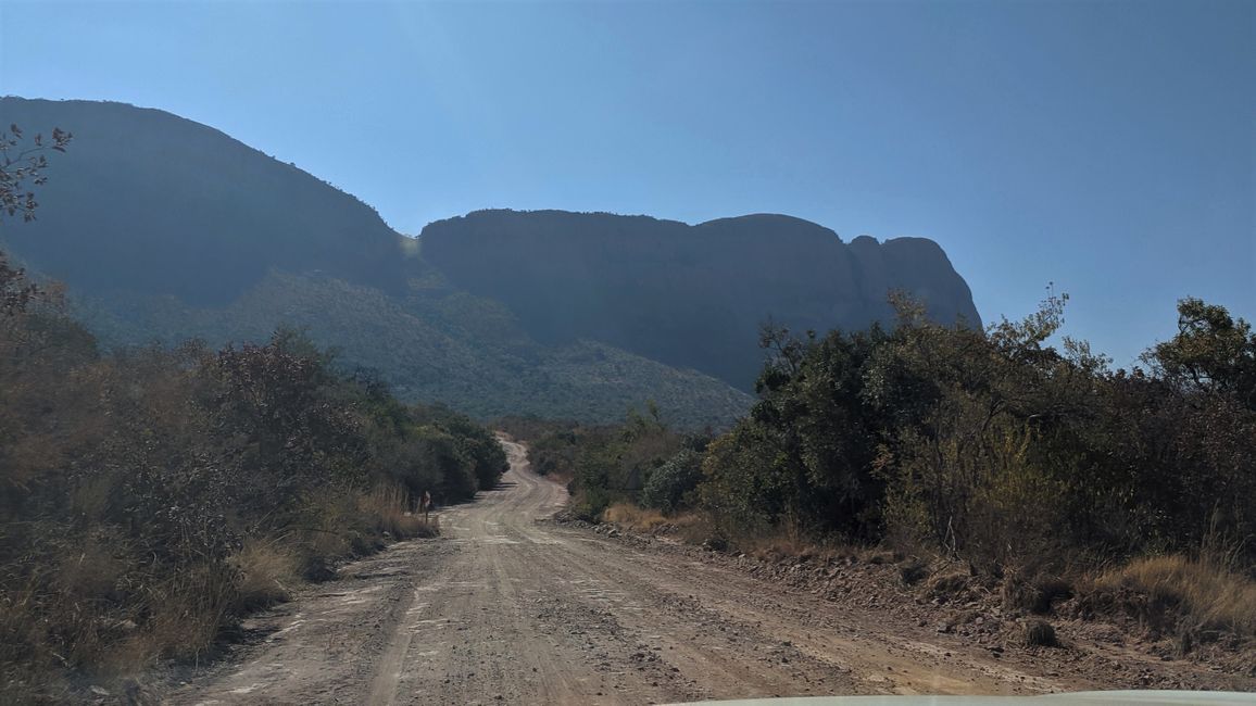 Dag 9: Fra Pilanesberg NP til Kololo Game Reserve