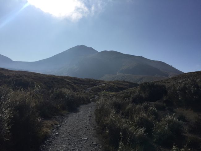 Family time Part 2 and the North Island of New Zealand