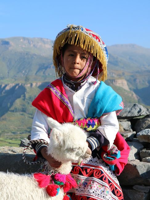 Peruanischer Junge mit Alpaka-Baby