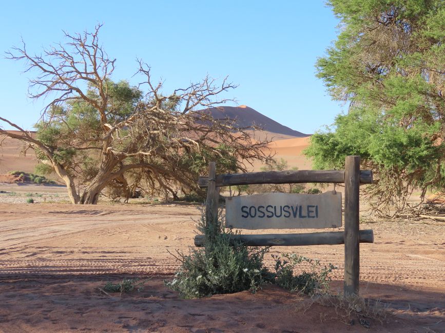 In der Wüste: Die Sossousvlei-Düne im Sesriem Nationalpark