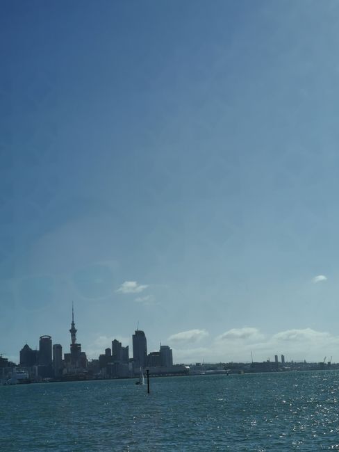 Blick auf Auckland vom Schiff aus