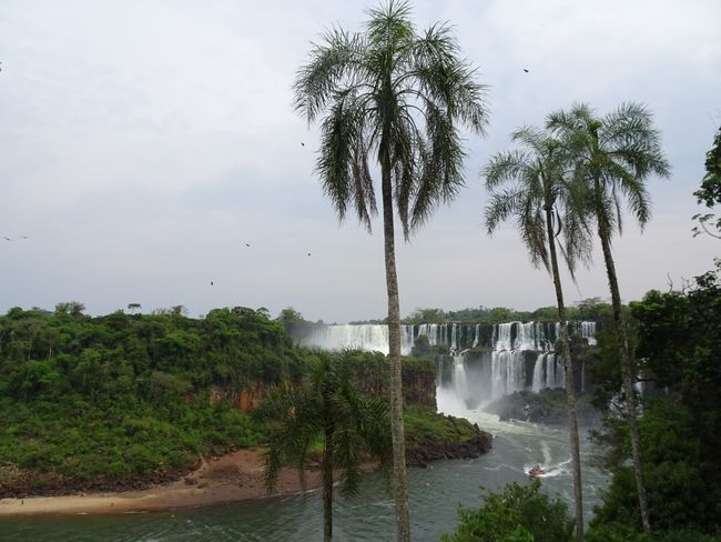 Puerto de Iguazu and Iguazu Falls
