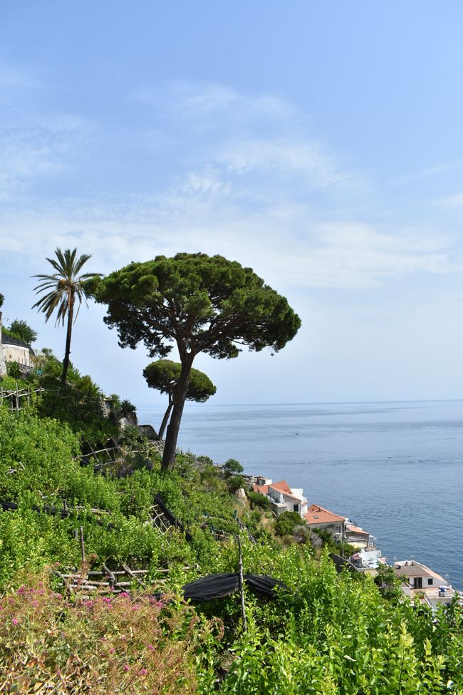 Salerno und die Costiera d' Amalfi - eine Berühmtheit Süditaliens (27. Stop)