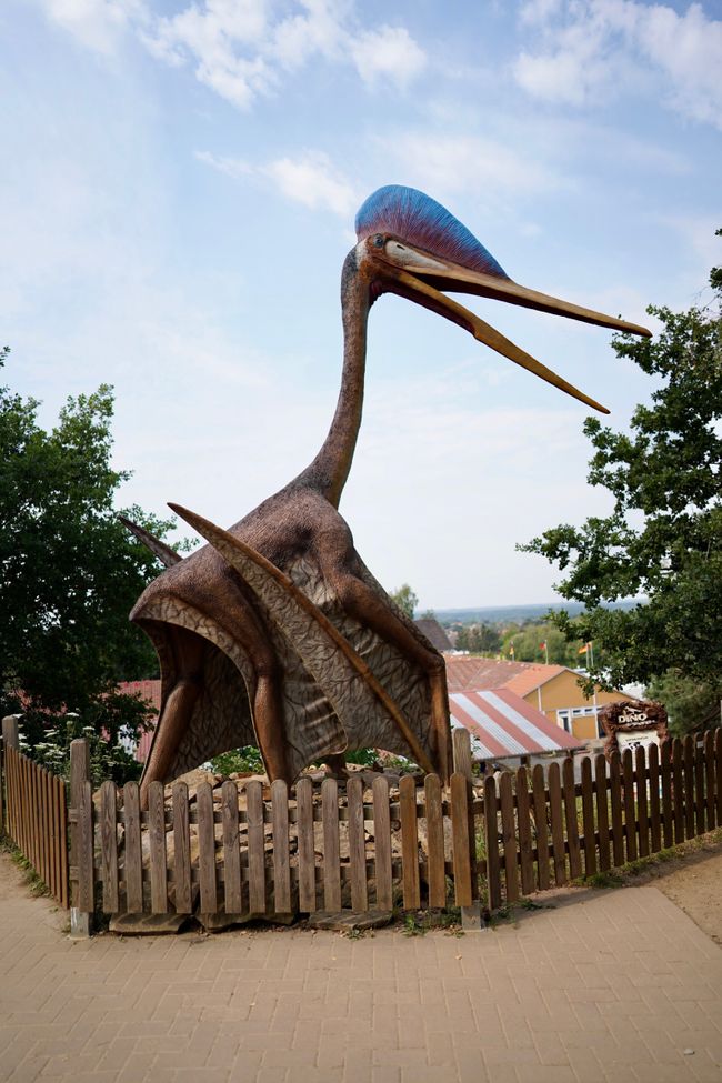 Tag 4: Ich glaub, die Dinos sind da!