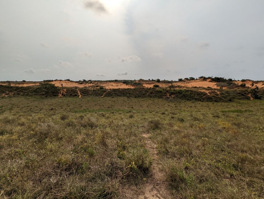 Parc marin d'iSimangaliso
