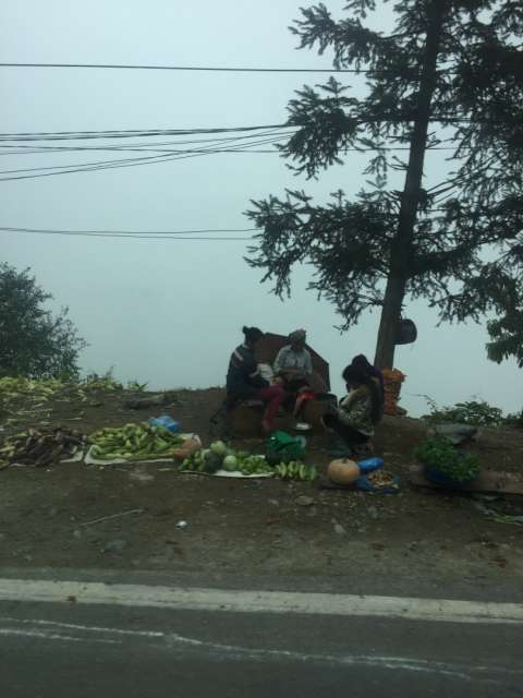 Food is sold at the roadside