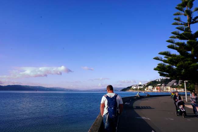 Promenade in Wellington