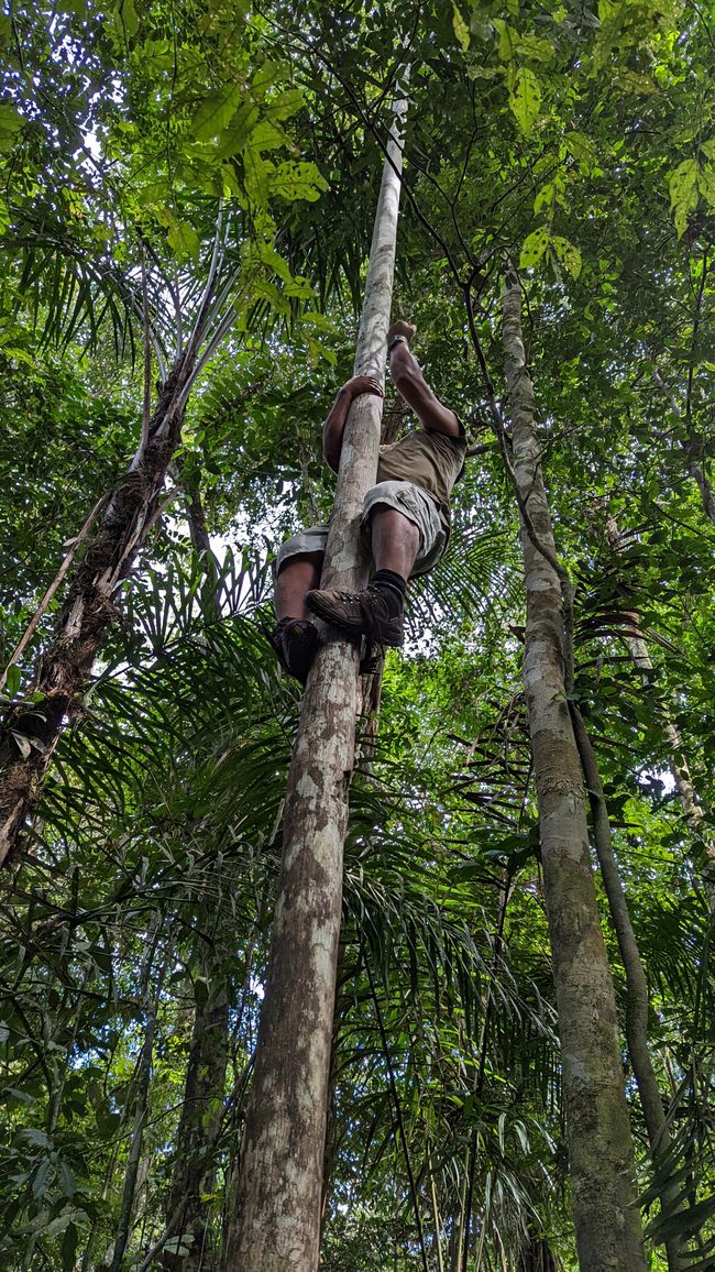 2. Día en la selva amazónica