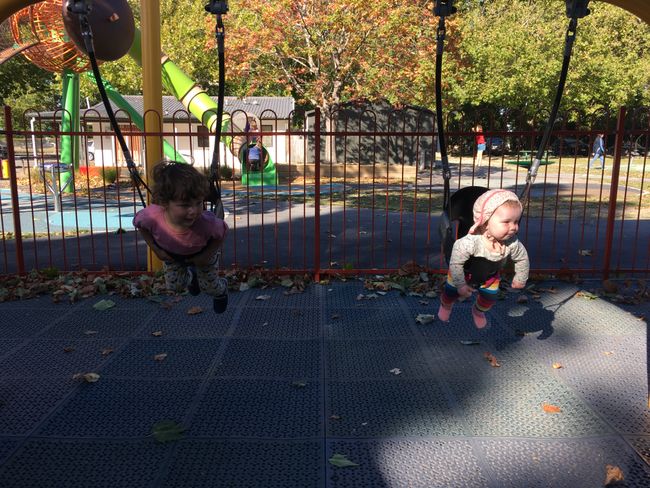 Blenheim - Playground in Pollard Park