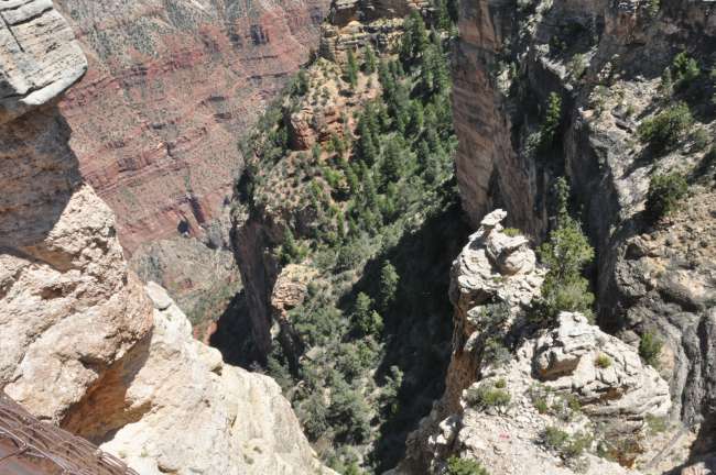 Entlang am Dzonga Rim des Grand Canyon