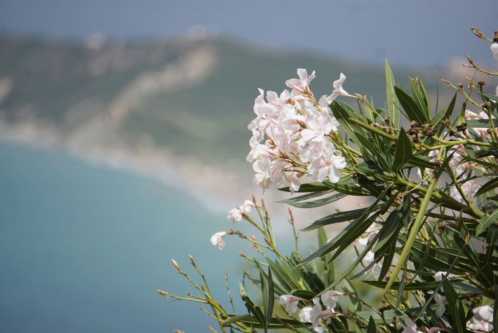 Afionas und Porto Timoni