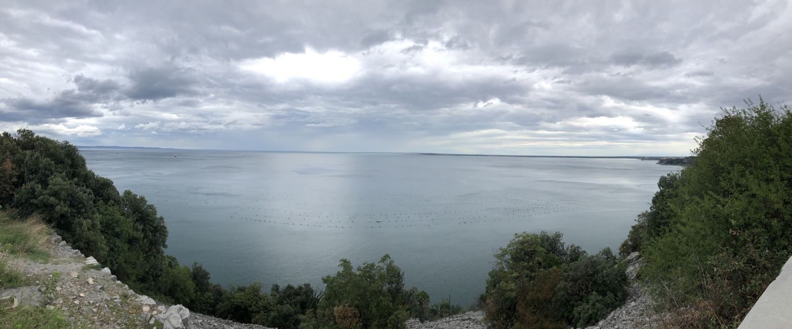 The sea in front of Trieste