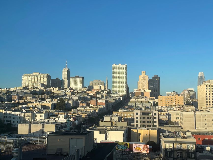 San Francisco markanxa