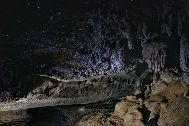 Glowworms form a starry sky in the cave