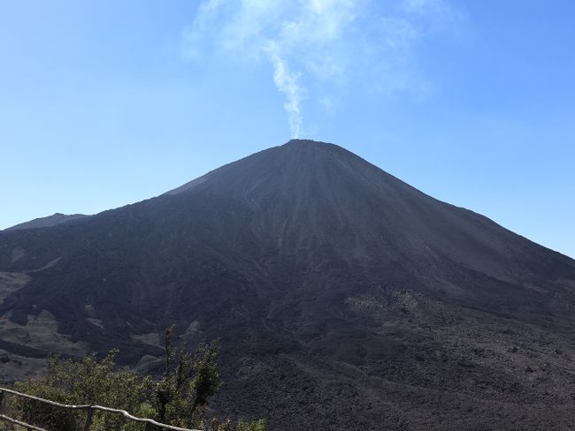 Mä volcán activo ukan malvavisconak asxataña :O (190 uru uraqpachan turkakipäwi)