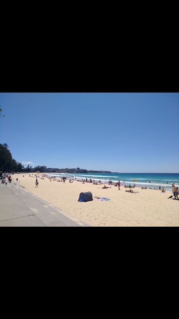 A day at the beach - Manly Beach