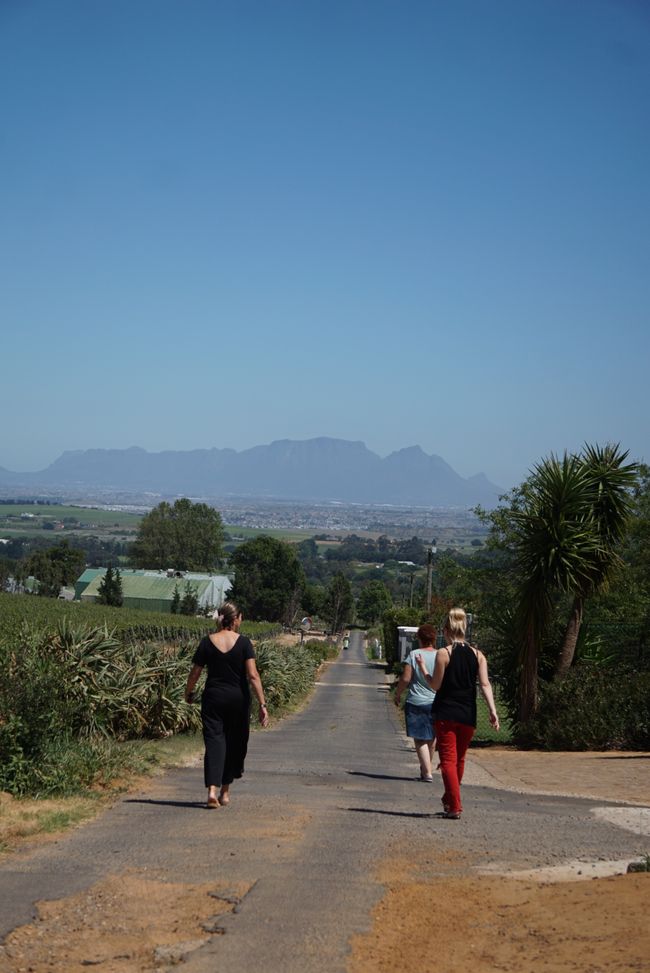 Stellenbosch 