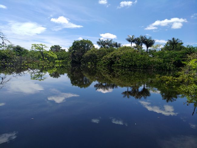 Ecuadorian Amazon region - Laguna Grande, Cuyabeno