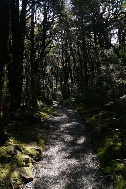 Parc national ya Abel Tasman, mabanga ya crêpes mpe passe ya Arthur
