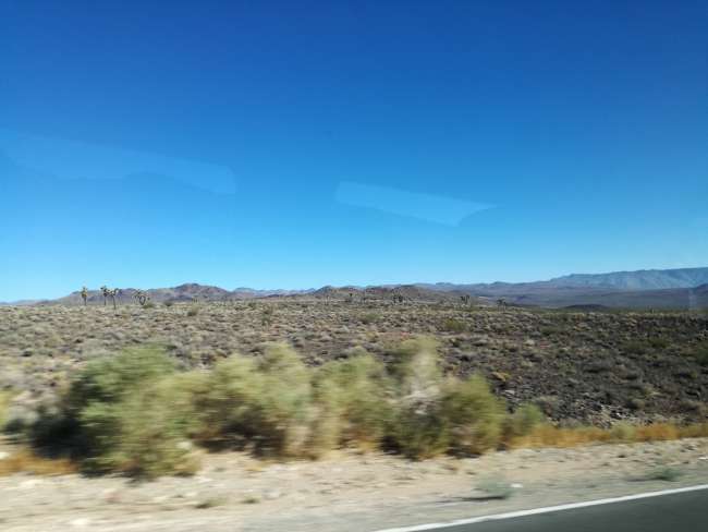 Sierra Rojhilat, Geliyê Mirinê û dîsa Las Vegas 😜