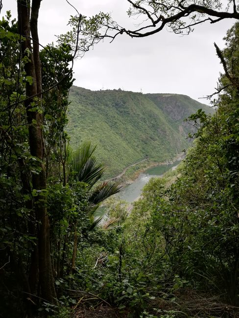 Wanawaru Gorge near Ashhurst